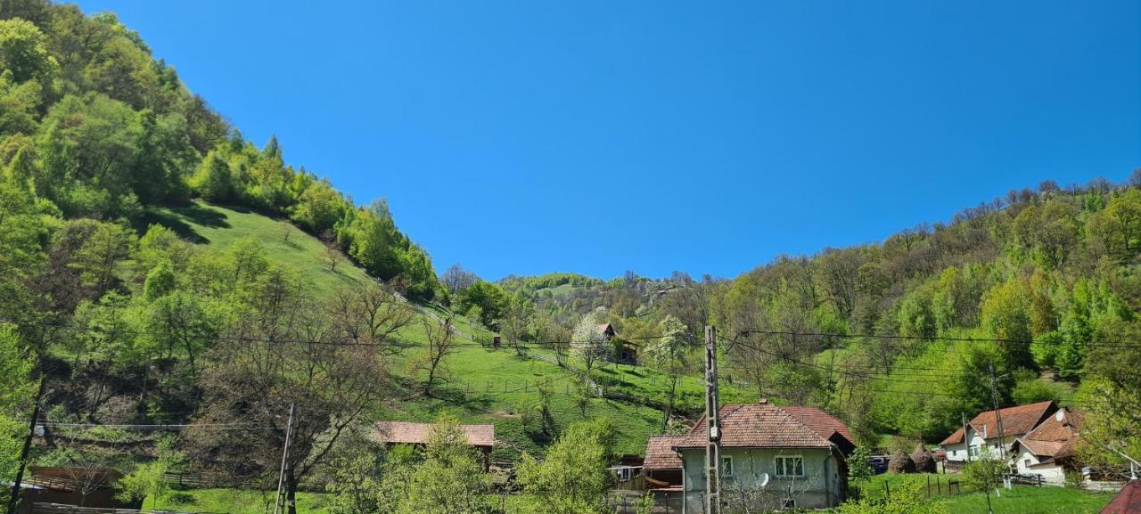 Appartamento La Tanti Coman Şugag Esterno foto