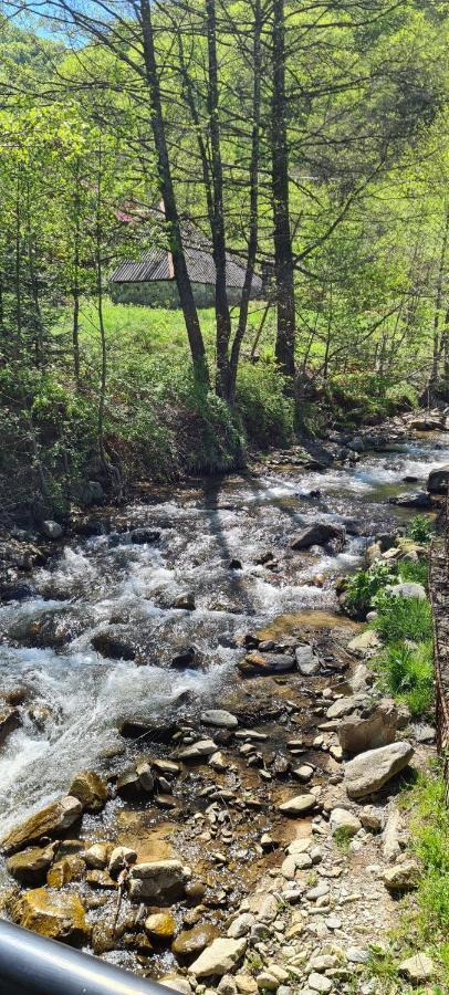 Appartamento La Tanti Coman Şugag Esterno foto